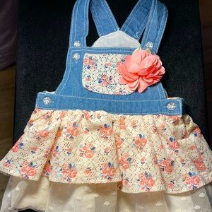 little lass baby girl dress
